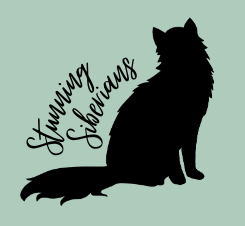 Hypoallergenic Purebred Siberian Kittens